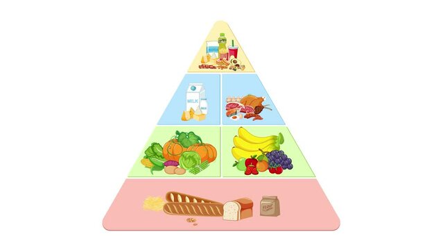 Food group of macronutrients on pyramid with portion of nutrition human need
