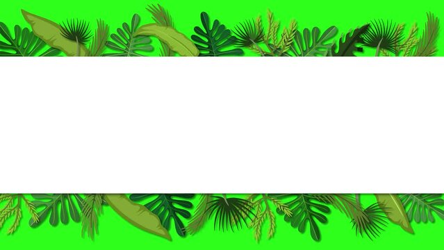 Green screen background with a banner of tropical forest leaves