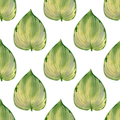 Seamless hosta Lakeside leaves pattern. Watercolor background with botanical illustration of green leaf for wallpapers, textile, decor design