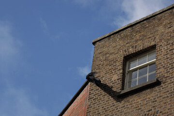 Fototapeta na wymiar Building facade with window and blue sky
