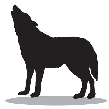Wolf Silhouette, cute Wolf Vector Silhouette, Cute Wolf cartoon Silhouette, Wolf vector Silhouette, Wolf icon Silhouette, Wolf Silhouette illustration, Wolf vector