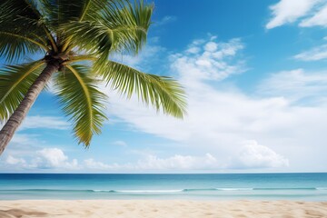 Palm tree on tropical beach and sand with blue sky background. 