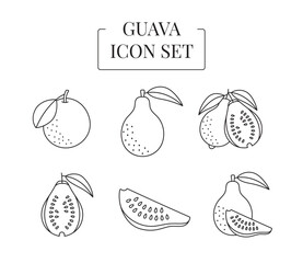 Fruit Guava whole and half, cut into slices, set of line icons in vector