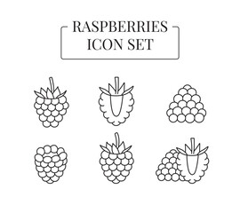 Raspberry berry whole and half, cut into slices, set of line icons in vector