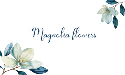 Magnolia flowers in watercolour style. Botanical banner, background 