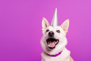 Group portrait photography of a funny norwegian lundehund wearing a unicorn horn against a vibrant purple background. With generative AI technology - obrazy, fototapety, plakaty