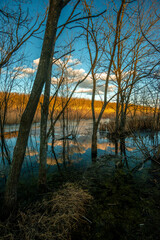 Sunset in forest with frozen lake. Naked tress, red sunset.
Sand career 