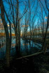Sunset in forest with frozen lake. Naked tress, red sunset.
Sand career 