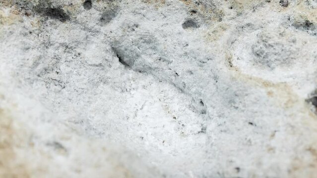 Sea-salt-on a cliff. Tenerife, Canary-islands. Spain