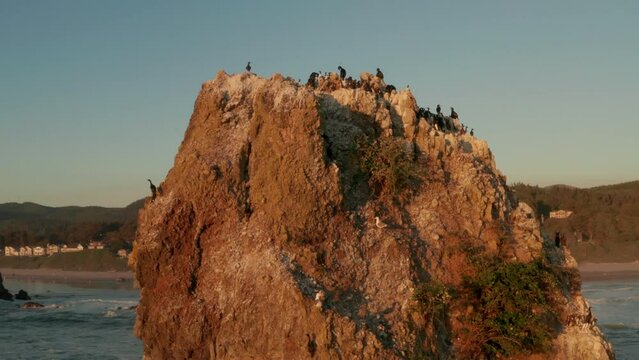 Rising aerial shot of sea stack used by nesting sea birds