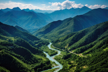 Obraz premium Forest landscape scene in morning with sunlight