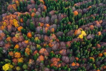 Autumn's Palette: Aerial View of Mountain Splendor