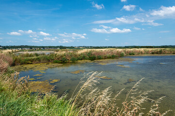 Sel, Marais salants, Guerande, 44, Loire Atlantique, France