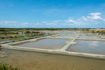 Sel, Marais salants, Guerande, 44, Loire Atlantique, France