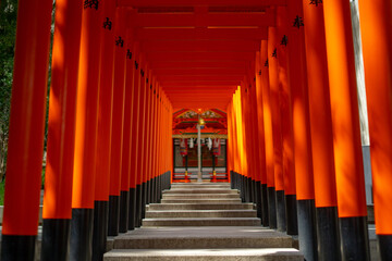 Ikuta Shrine , Shinto Shrine in Kobe during summer at Kobe Honshu , Japan : 2 September 2019