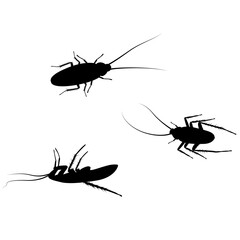 Illustration of a Cockroach Silhouette SVG, cockroach isolated, Cockroach Cut Files For Silhouette