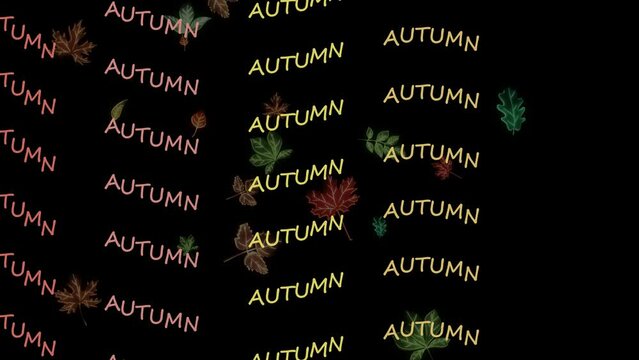 autumn word seasonal animation with black background. Text slide in path with wavy pattern way. Moving from left to right