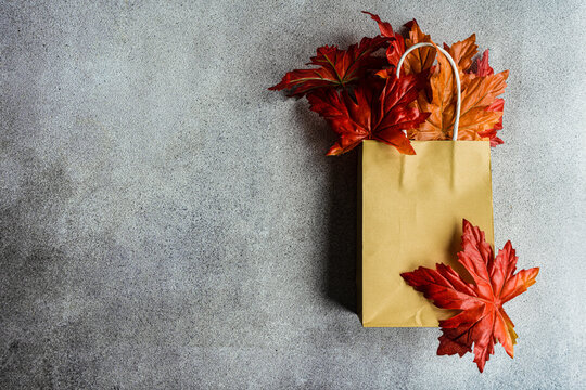 Red autumn maple leaves spilling out of  a blank brown paper bag