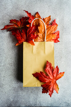 Red autumn maple leaves spilling out of  a blank brown paper bag