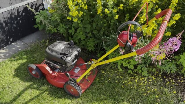 lawnmower in the garden