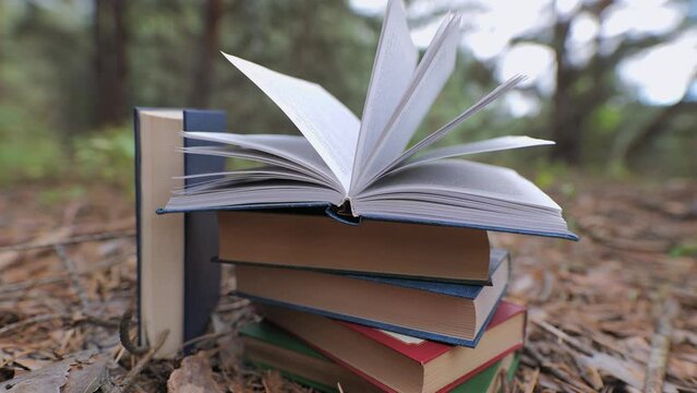 Stacked books in the forest