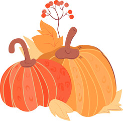 Autumn composition of pumpkins, leaves and berries. Autumn harvest and Halloween pumpkin symbol.