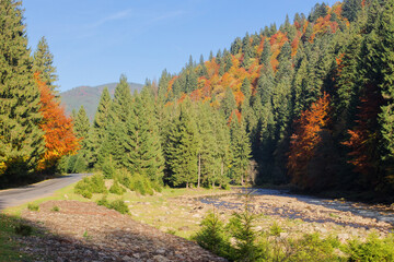 narrow mountain river in autumn. dry fall season. stones on the shore and shallow water stream. sunny weather