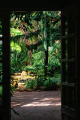 entrance to an old greenhouse with a collection of tropical plants