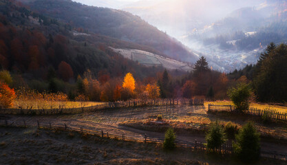 Mountain Mosaic: Capturing the Warmth of an Autumn Day from Above