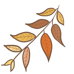 Brown ,orange and yellow leaves  illustration. 