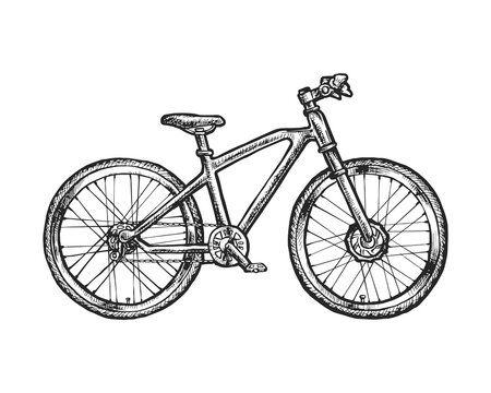 Hand drawn bike or bicycle vector sketch. Retro vehicle for city or countryside road ride. Vintage transport for trip or travel side view. Biking and transportation sign or emblem. Traveling theme