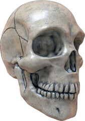 Obraz premium Skull Isolated on a Transparent Background