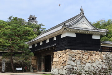  A Japanese Castle : Kochi-jyo Castle in Kochi City in Kochi Prefecture 日本のお城：高知県高知市にある高知城