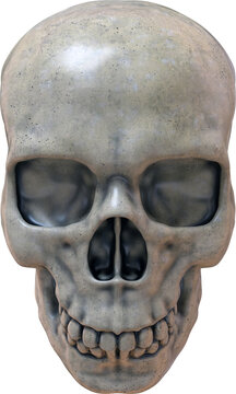 Skull Isolated on a Transparent Background