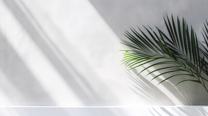 Fototapeta premium Shadow of coconut leaves on white concrete wall