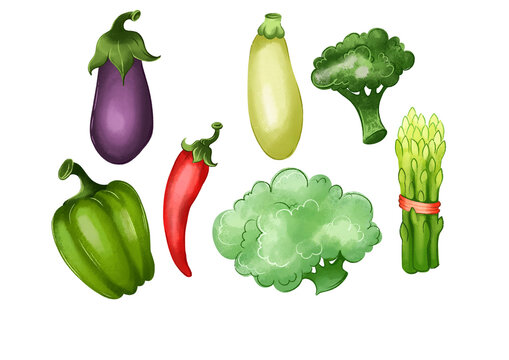 Illustration set vegetables painting freehand drawing