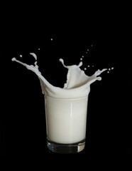 Splash in a glass with milk isolated on black.