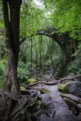 Paisaje selvático con arco medieval en un remanso de paz