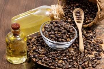 Ricinus communis - Dried seeds And Oil From The Fruit Of The Castor Bean Plant
