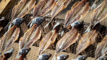 peixe seco, sol