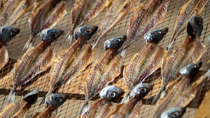 peixe seco, sol