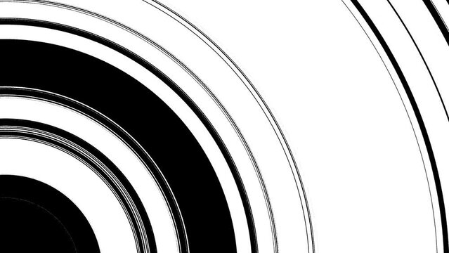 Black and white curvy lines pattern transition animation