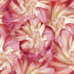 Seamless floral  background.   Flowers tulips   and petals peonies. Close up.