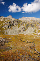 meandering creek on the alpine plateau of Greina, Surselva