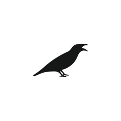  vector bird icon on white background