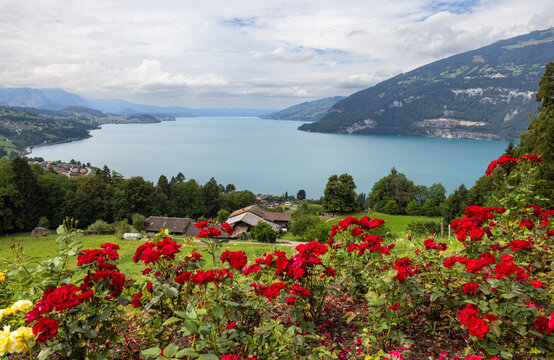 View from Meielis Alp onto Lake Thun, above Interlaken, Switzerland 