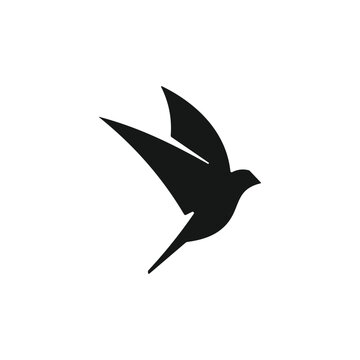 recommend clip art:  vector bird icon on white background