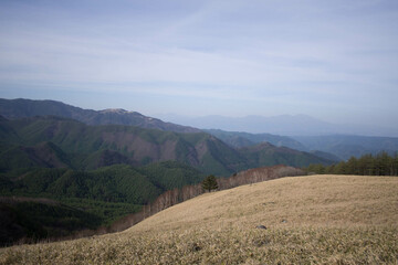 山