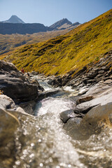 Aua Diesrut mountain creek near Puzzatsch, Vrin in Surselva