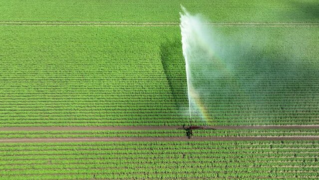 Irrigation pivot gun machine spraying water on an agricultural field during a dry sprintime day.